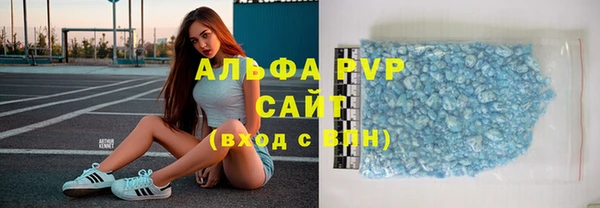 прущие грибы Баксан