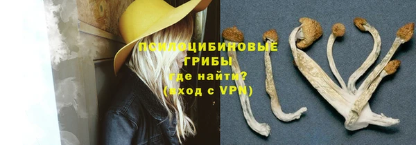 винт Балахна