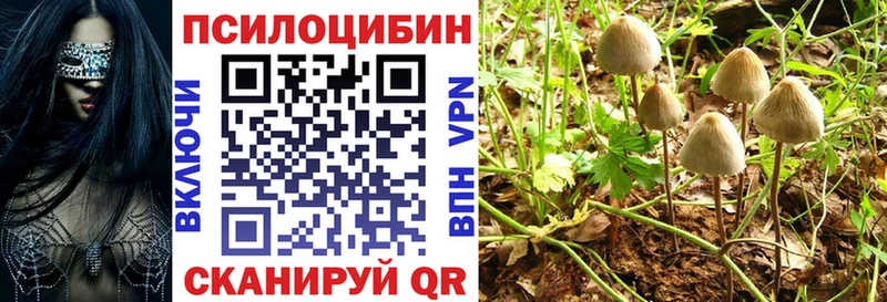 где можно купить   Нефтекумск  Галлюциногенные грибы прущие грибы 